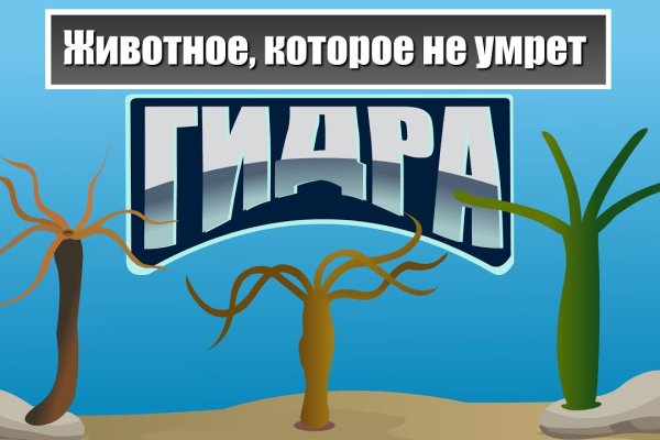 Кракен зеркало 2kraken biz