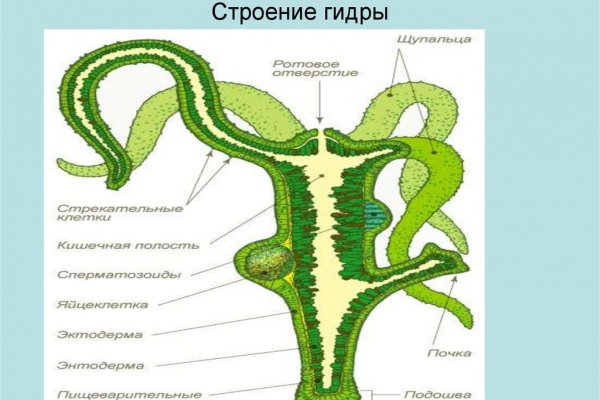 Кракен площадка торговая kr2web in