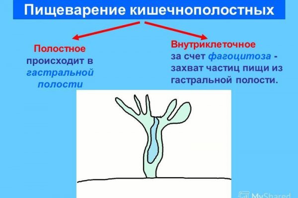 Зарегистрироваться на сайте кракен