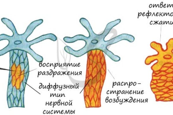 Официальный сайт кракен kraken