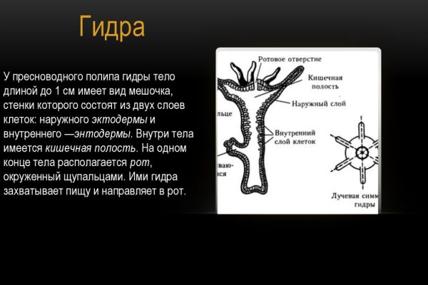 Полезные сайты тор