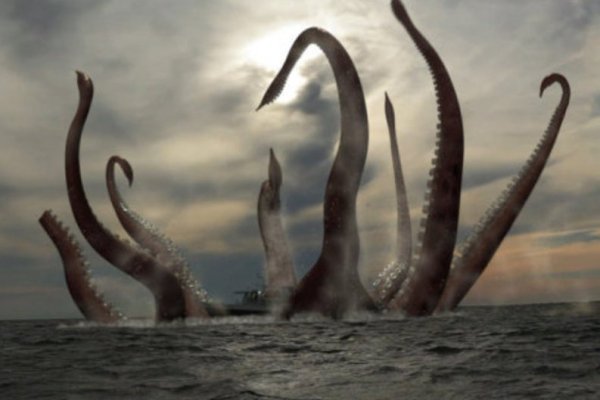 Kraken 12at